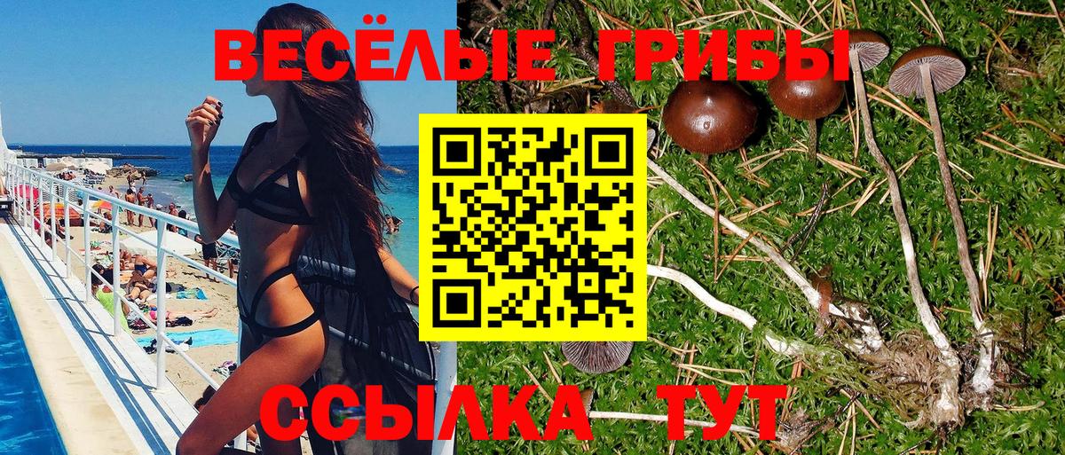 Галлюциногенные грибы ЛСД  Вход с VPN  Заводоуковск 